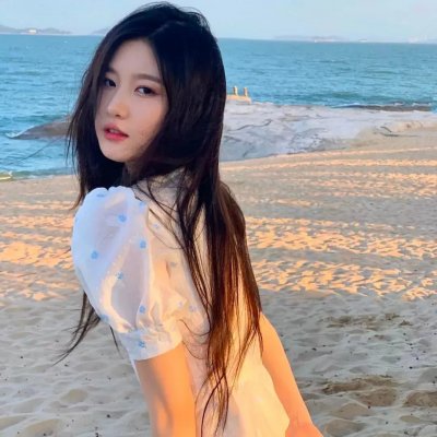 狗狗监护权