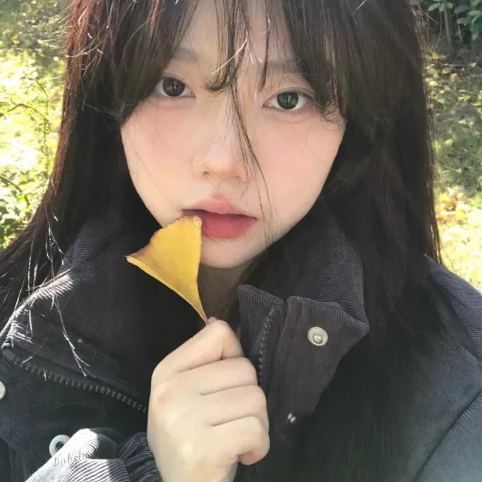 案中案